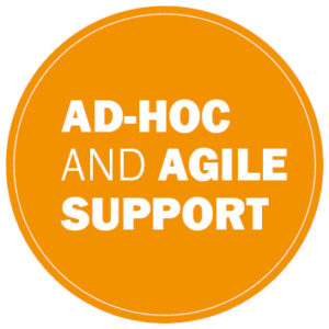Ad-hoc and agile support